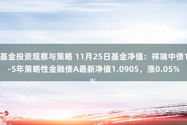 基金投资观察与策略 11月25日基金净值：祥瑞中债1-5年策略性金融债A最新净值1.0905，涨0.05%